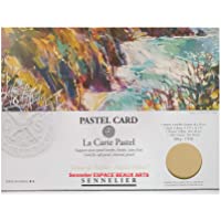 Sennelier Pastel sec Card (papel de lija de grano fino) bolsillo 30x40cm 6 hojas (Amarillo Nápoles - AMARILLO NAPOLES…